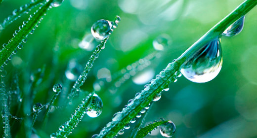 Blue Green Ecosystem Blue Green Ecosystem